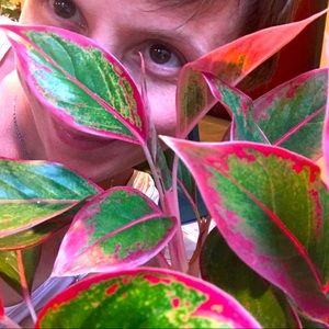 Meet your Posher, Carolyn